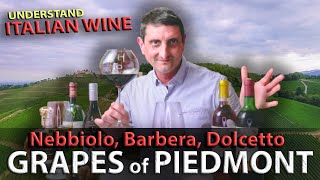 Piedmonts Wine TRILOGY Nebbiolo Barbera Dolcetto  Italian Wine 101 [upl. by Dinnage]