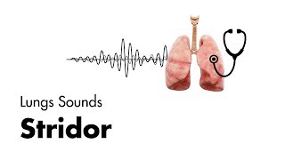 Stridor  Lung Sounds  MEDZCOOL [upl. by Anomer]