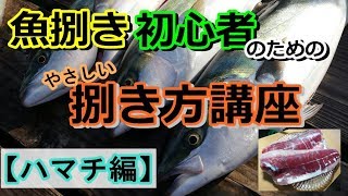 ハマチ（ブリ）のさばき方を初心者向けに解説します【魚屋による捌きかた】 [upl. by Nahum]