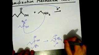 How to Make Amides Mechanism [upl. by Marco611]