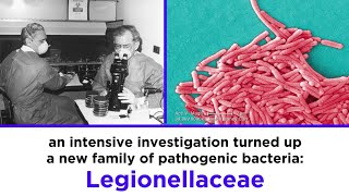 Legionnaires’ Disease Legionella pneumophila [upl. by Ladnyc]