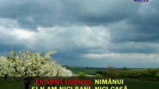 Cantece populare romanesti  Sami canti cobzar  Karaoke [upl. by Mattie]