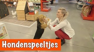 Hondenspeeltjes testen  DierenpraatTV [upl. by Eniortna727]