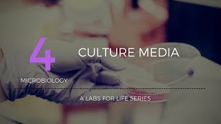 Culture Media [upl. by Einna]