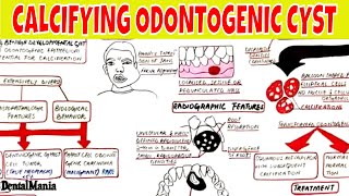 Calcifying Odontogenic Cyst  Clinical radiographic Histopathologic Features and Treatment [upl. by Ayikur]