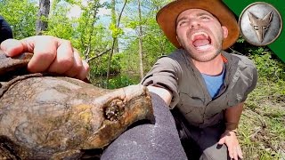 CRAZY Alligator Snapping Turtle Bite [upl. by Inod]