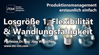 Losgröße 1 Flexibilität und Wandlungsfähigkeit [upl. by Atekal]