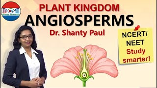 Angiosperms  Plant kingdom [upl. by Millian]