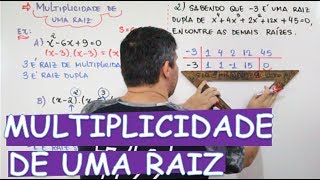 POLINÔMIOS  MULTIPLICIDADE DE UMA RAIZ OU RAÍZES MÚLTIPLAS 912 [upl. by Gerius]