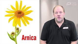 Dr Sean McConnell Arnica and its amazing benefits [upl. by Aittam]