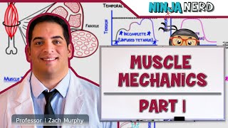 Musculoskeletal System  Muscle Mechanics  Twitch Summation amp Tetanus [upl. by Kaczer784]