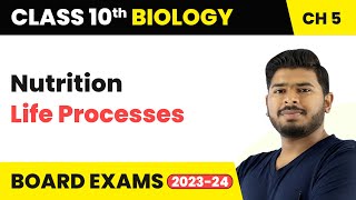 Nutrition  Life Processes  Class 10 Science Chapter 5 [upl. by Nosniv]