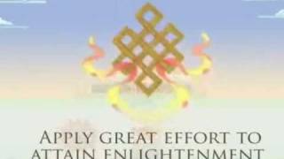 The Eight Auspicious Symbols of Buddhism  New Kadampa Tradition [upl. by Suki376]