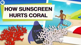 Is Your Sunscreen Hurting Coral Reefs [upl. by Nev]