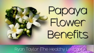 Papaya Flower Benefits [upl. by Ettennod64]