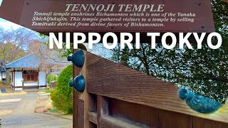 4K Tennoji Temple  NIPPORI  Tokyo Walking Tour [upl. by Hach]