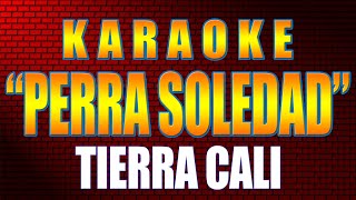 Karaoke PERRA SOLEDAD Con Letra TIERRA CALI [upl. by Eam]