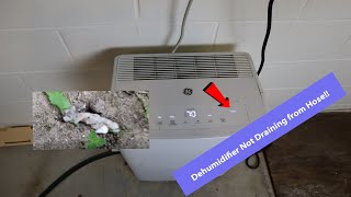 Dehumidifier Not Draining From Hose [upl. by Vaientina]