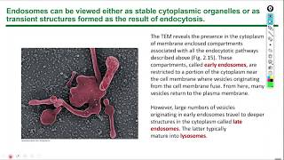 Histology lecture 1 chapter 2 [upl. by Ranie]