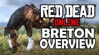 Breton Overview  Red Dead Online Horses  Red Dead Redemption 2 [upl. by Beckett927]