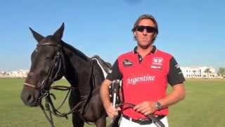 Learn how to play polo The Essential Guide by Steve Thompson [upl. by Haldas685]