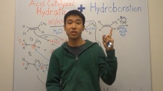 Hydroboration Oxidation Reaction and Mechanism Made Easy Alkene Addition  Organic Chemistry [upl. by Clements]