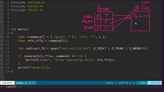 382  The dup2 System Call  A C tutorial for redirecting stdin and stdout using system calls [upl. by Elicul200]