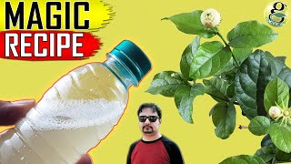 BEST ORGANIC PESTICIDE FORMULA  Home made Pest Control Recipe [upl. by Snell]