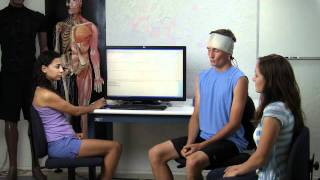 Fundamentals of EEG Signal [upl. by Yenrab738]