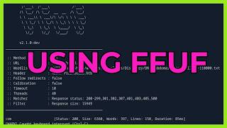 How To Use FFUF For Beginner Hackers [upl. by Munniks349]