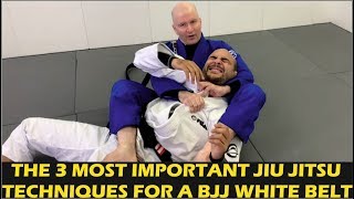 The 3 Most Important Jiu Jitsu Techniques For A BJJ White Belt by John Danaher [upl. by Dieter]