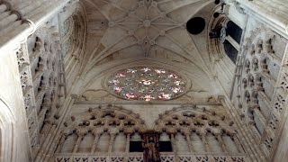 Catedral de Burgos [upl. by Siloam78]