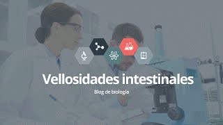 Vellosidades intestinales [upl. by Anad]