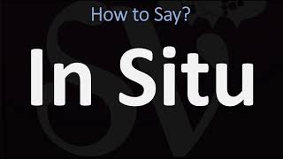 How to Pronounce In Situ CORRECTLY [upl. by Iccir641]