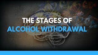 The Stages of Alcohol Withdrawal [upl. by Renae40]