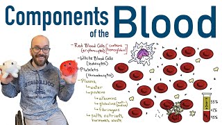 Components of Blood [upl. by Irrek]