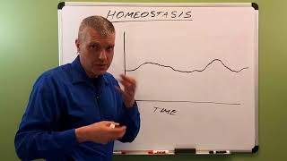 Homeostasis Explained [upl. by Aia]