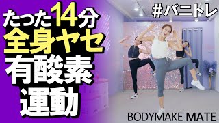 【バニトレ】全身痩せ有酸素運動14分 cardio exercise 14min [upl. by Liew626]