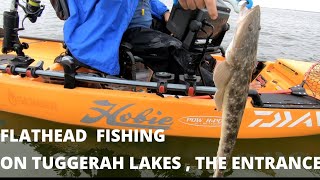 Flathead fishing on Tuggerah Lakes  The Entrance [upl. by Whitcomb]