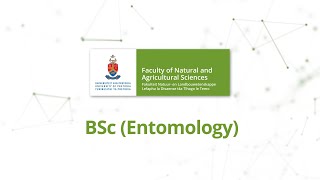 UP BSc Entomology [upl. by Bolten]