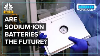 How SodiumIon Batteries May Challenge Lithium [upl. by Llemar728]