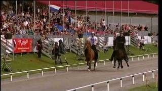 Islandpferde WM 2011 Highlights [upl. by Quitt]