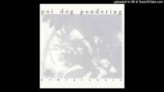 Poi Dog Pondering  Catacombs Album Version [upl. by Aelat]