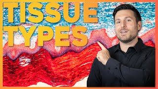 Intro to Histology The Four Tissue Types  Corporis [upl. by Robbi669]