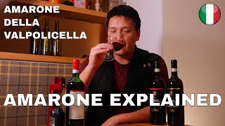 Big RED WINE  Amarone Explained [upl. by Tamaru]