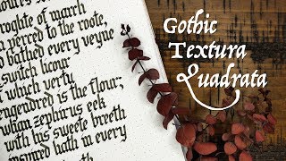 Gothic Textura Quadrata medieval calligraphy tutorial  Sunday Scriptorium Ep 2 [upl. by Ahseikram]