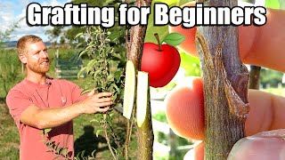 How to Graft Fruit Trees [upl. by Ystap]