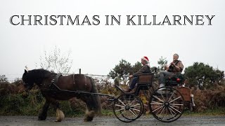 Rend Collective  Christmas In Killarney Official Video [upl. by Groos813]