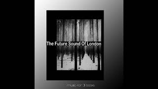 The Future Sound of London  Music for 3 Books 2021 Album [upl. by Rutherford861]