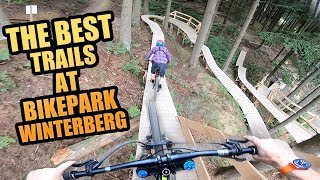 THE 3 BEST MTB TRAILS AT BIKEPARK WINTERBERG [upl. by Mannes601]